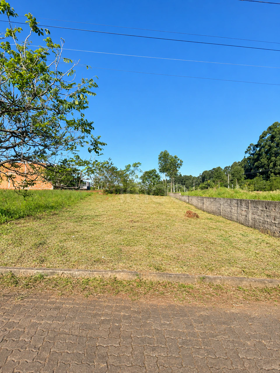 Terreno plano de 12 x 25,75 - foto 1